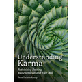 Understanding Karma: Rethinking Destiny, Reincarnation and Free Will
