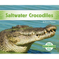 Saltwater Crocodiles