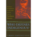 Who Defines Indigenous?: Identities, Development, Intellectuals, and the State in Northern Mexico