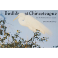 Birdlife at Chincoteague and the Virginia Barrier Islands