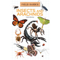 Insects and Arachnids
