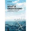 What Is Orientation?: A Philosophical Investigation