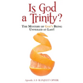 Is God a Trinity?: The Mystery of God's Being Unveiled at Last!