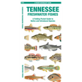 Tennessee Freshwater Fishes
