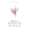 Wildflowers Plucked From The Concrete Jungle