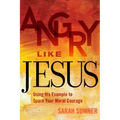 Angry Like Jesus: Using His Example to Spark Your Moral Courage