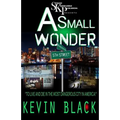 A Small Wonder: To Live And Die In The Most Dangerous City In America