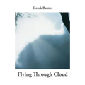Flying Through Cloud
