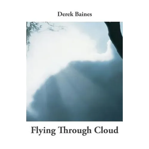 Flying Through Cloud