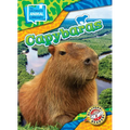 Capybaras