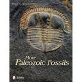 More Paleozoic Fossils