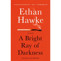 A Bright Ray of Darkness