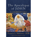 Apocalypse of John: A Commentary