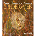 Next Time You See a Spiderweb