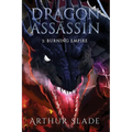 Dragon Assassin 3: Burning Empire