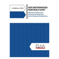 Safe Motherhood: How Much Safe?: Maternal and Neonatal Outcomes of Pregnancy and Its Related Complications