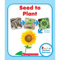 Seed to Plant (Rookie Read-About Science: Life Cycles)