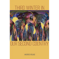Third Winter in Our Second Country