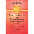Light on Tantra in Kashmir Shaivism: Chapter One of Abhinavagupta's Tantraloka