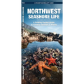 Northwest Seashore Life, 2nd Ed: A Folding Pocket Guide to Familiar Animals & Plants