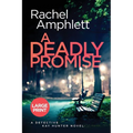 A Deadly Promise: A Detective Kay Hunter crime thriller (large print)