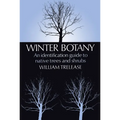 Winter Botany