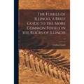 The Fossils of Illinois, a Brief Guide to the More Common Fossils in the Rocks of Illinois; 11