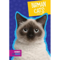Birman Cats