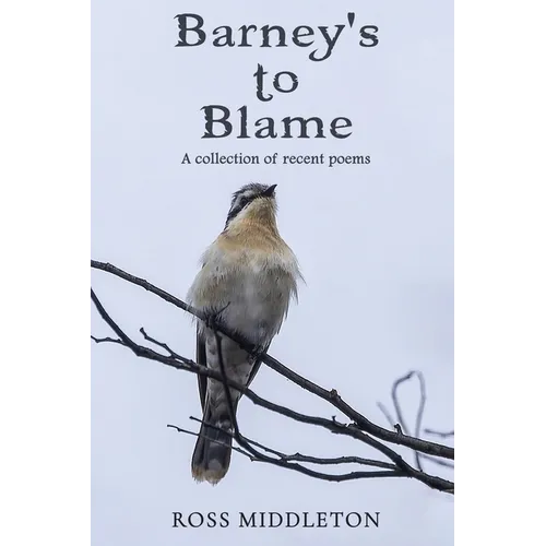 Barney's to blame