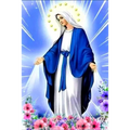 La Historia Jamas Contada de la Virgen Maria