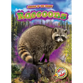 Raccoons