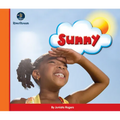 Eye on the Sky: Sunny