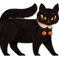 One Black Cat