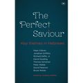 The Perfect Saviour