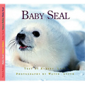 Baby Seal