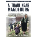 A Train near Magdeburg (the Young Adult Adaptation): The Holocaust, the Survivors, and the American Soldiers Who Saved Them