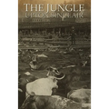 The Jungle