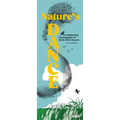 Nature's Dance: The Captivating Choreography of Birds, Fish & Insects