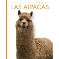 Las Alpacas