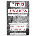 Titus Awakes: The Lost Book of Gormenghast