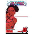 Bleach, Vol. 66