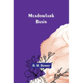 Meadowlark Basin