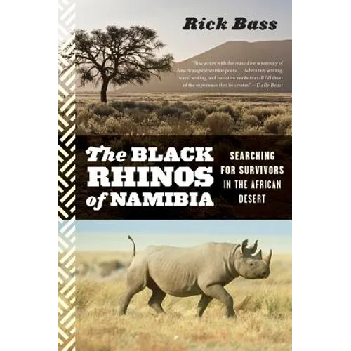 Black Rhinos of Namibia: Searching for Survivors in the African Desert