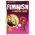 Introducing Feminism: A Graphic Guide
