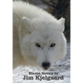 Eleven Novels by Jim Kjelgaard (complete and unabridged) including: The Spell of the White Sturgeon, The Lost Wagon, Trading Jeff and his Dog, Double