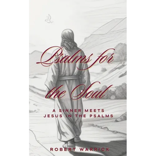 Psalms for the Soul: A Sinner meets Jesus in the Psalms