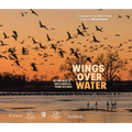 Wings Over Water: The Vital Magic of North America's Prairie Wetlands