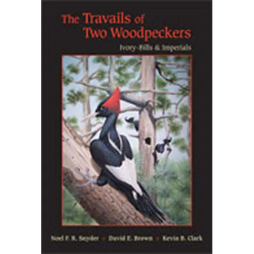 The Travails of Two Woodpeckers: Ivory-Bills & Imperials