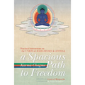 A Spacious Path to Freedom: Practical Instructions on the Union of Mahamudra and Atiyoga