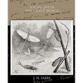 Social Life in the Insect World